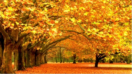 1.webp.jpg 1.webp.jpg